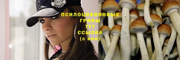 соль ск Абаза