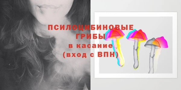 соль ск Абаза