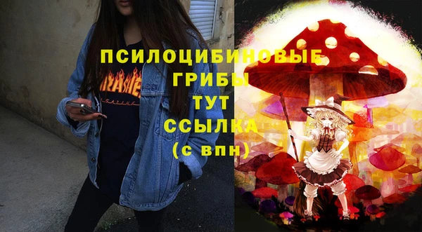 соль ск Абаза