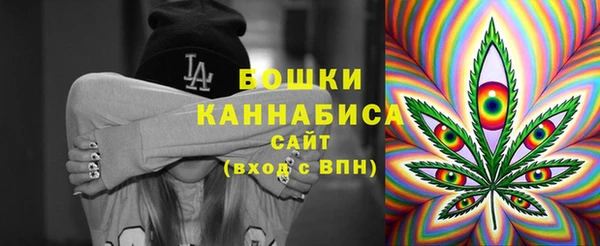 соль ск Абаза