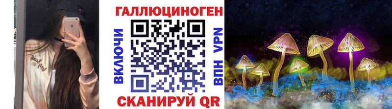 где купить наркоту  Зубцов  нарко площадка клад  Псилоцибиновые грибы Magic Shrooms 